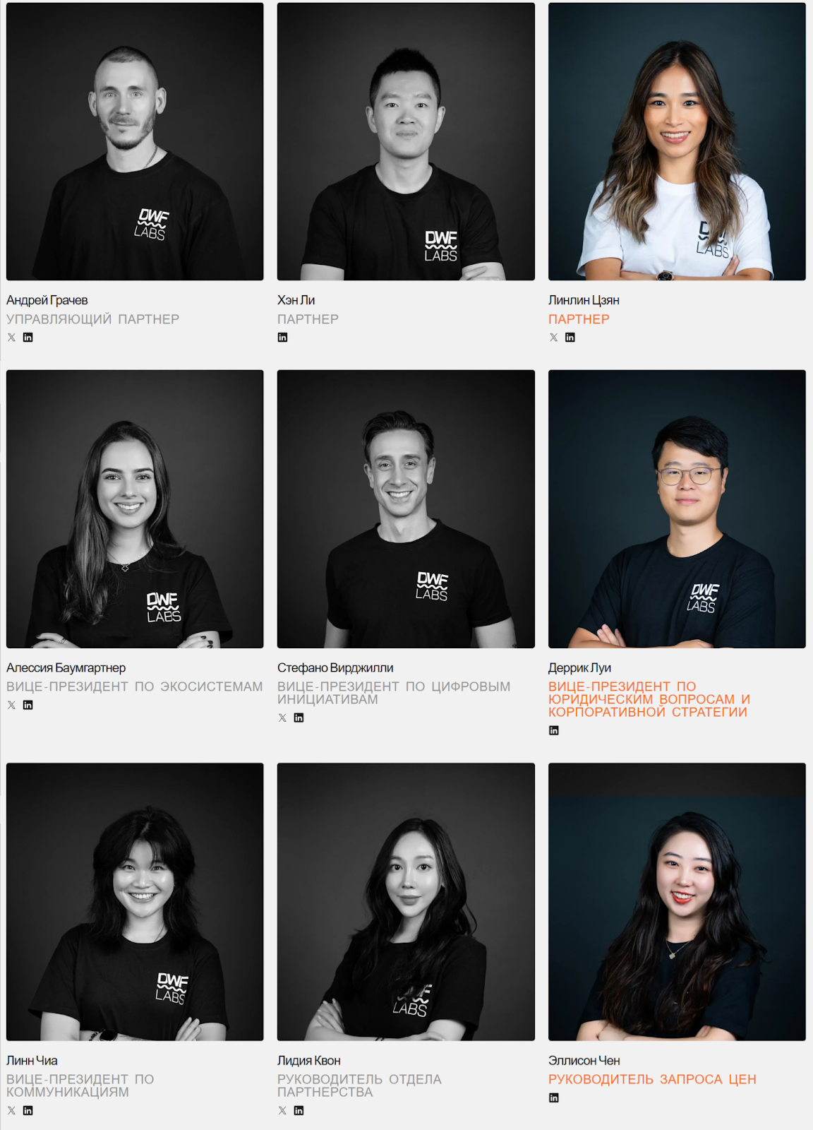 dwf labs портфель dwf labs портфель