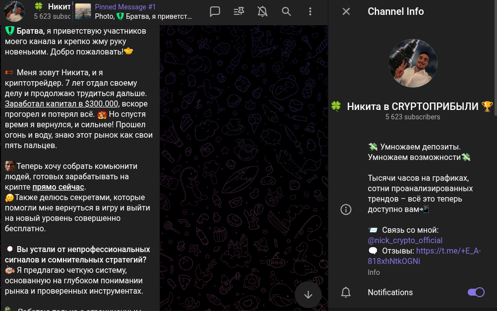 Никита в CRYPTO Прибыли