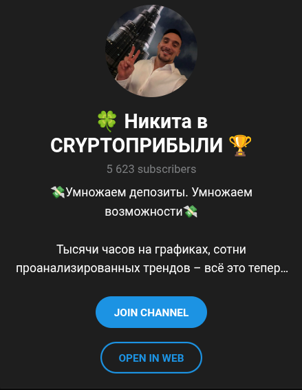 Никита в CRYPTO Прибыли