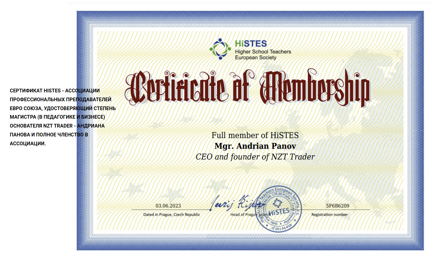 nzt trader nzt trader