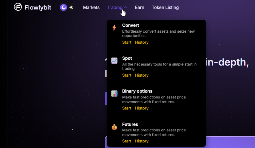 support flowlybit com
