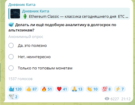 whale diary whale diary