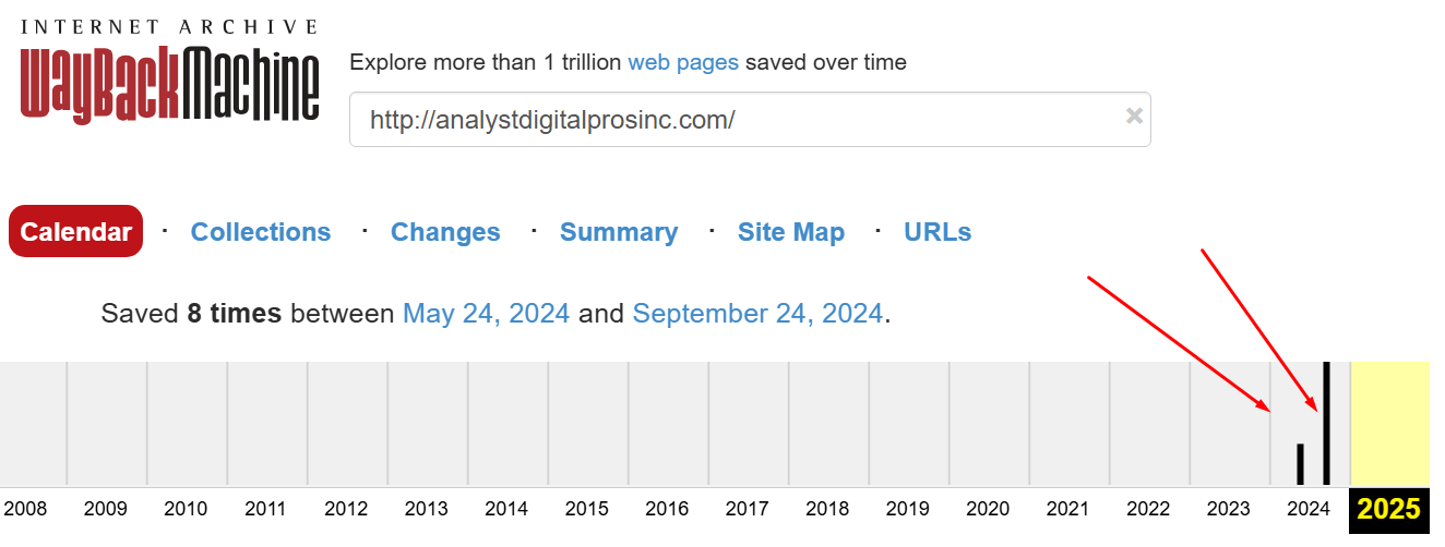 Analyst Digital Pros Inc Analyst Digital Pros Inc