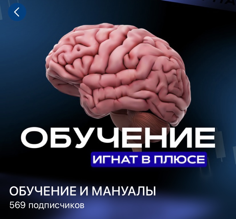 ignat trading ignat trading