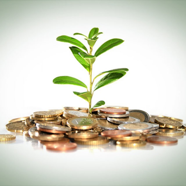 Капитал Шоу Рынок Чудес