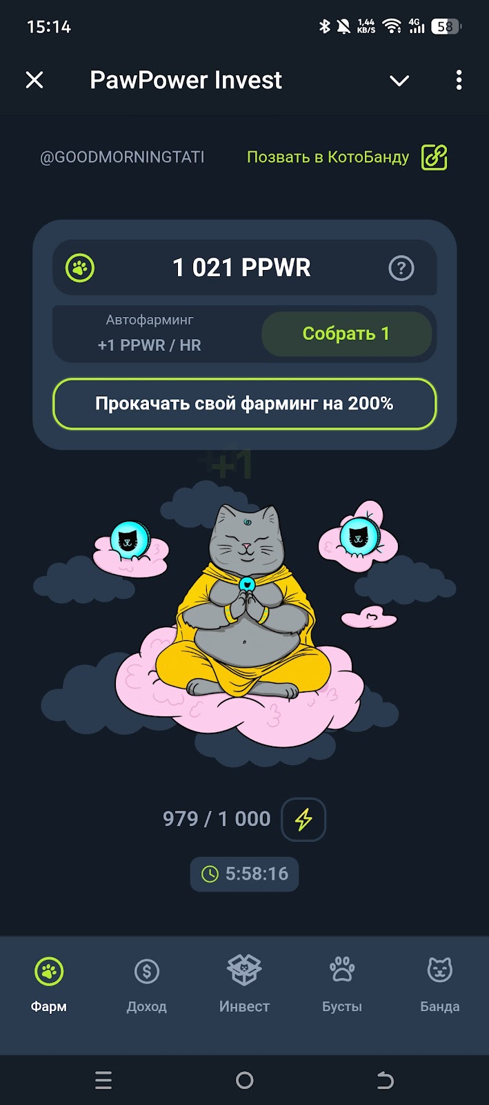 PawPower Инвест PawPower Инвест