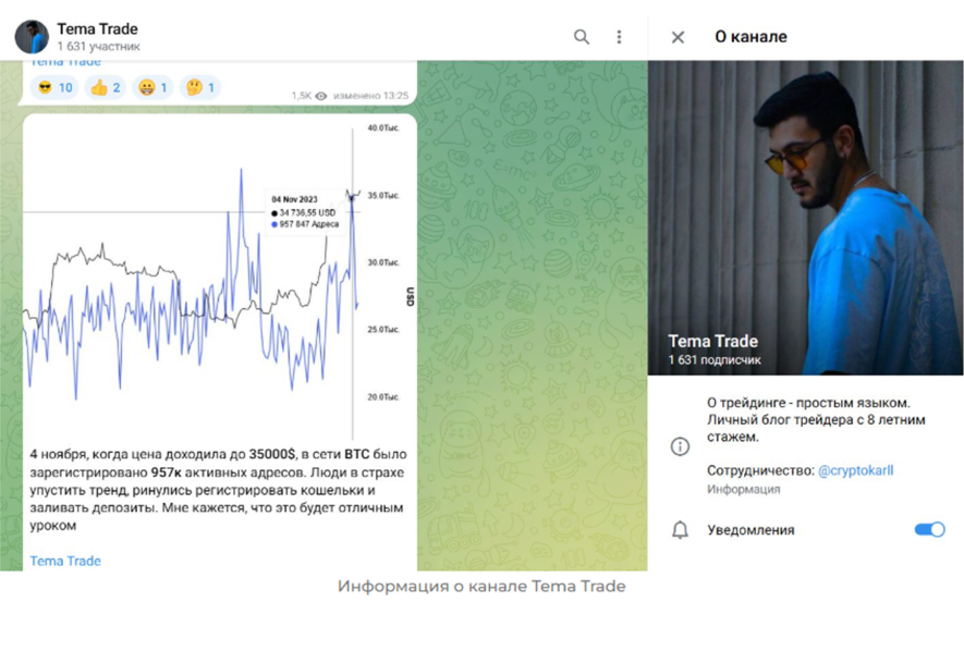 тема трейдер отзывы тема трейдер отзывы