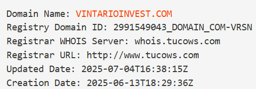 Vintario Invest Vintario Invest