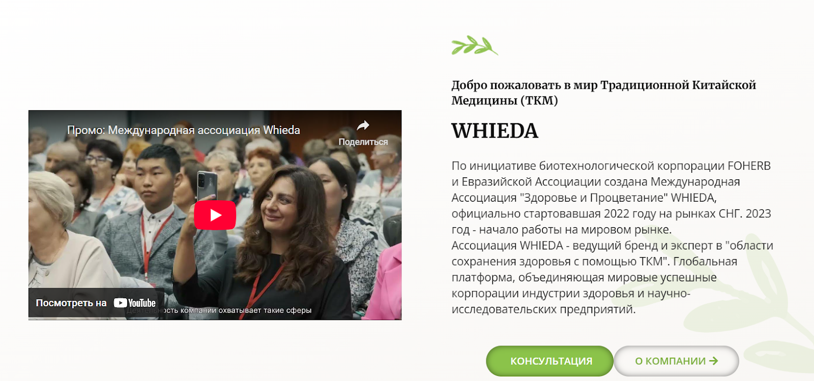 whieda сетевая компания отзывы whieda сетевая компания отзывы
