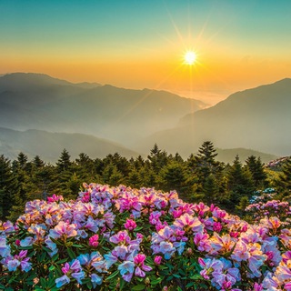 Andreva_darya-darya-zhdanova