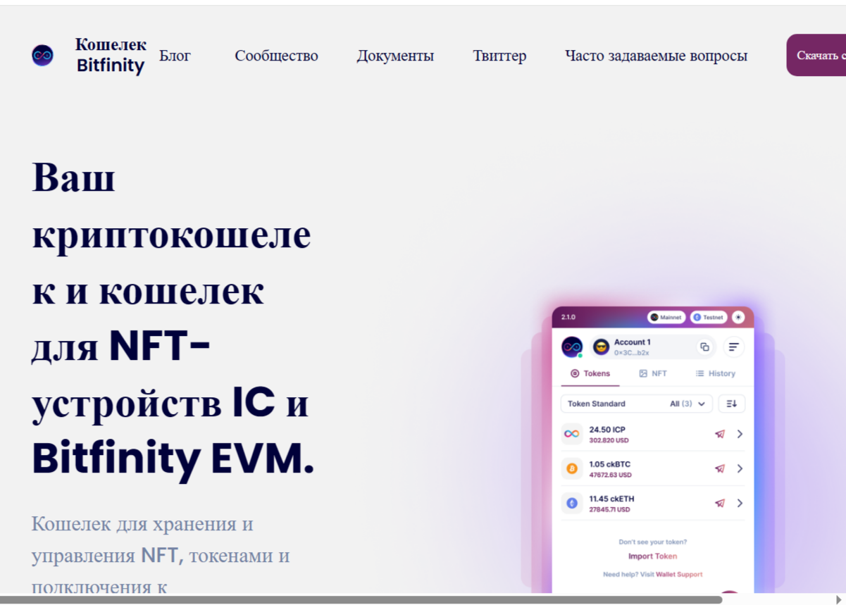 bitfinity network bitfinity network