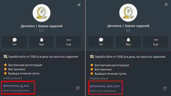 denezhka tg bot отзывы denezhka tg bot отзывы