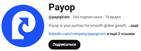 payop платежная система payop платежная система