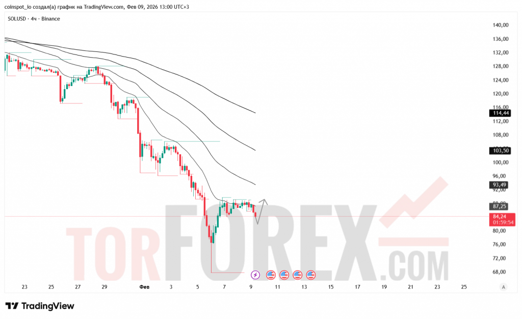 SOLUSD-prognoz-10-02-2026