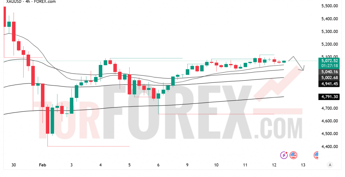 Прогноз цены XAU/USD на 13 февраля 2026 года