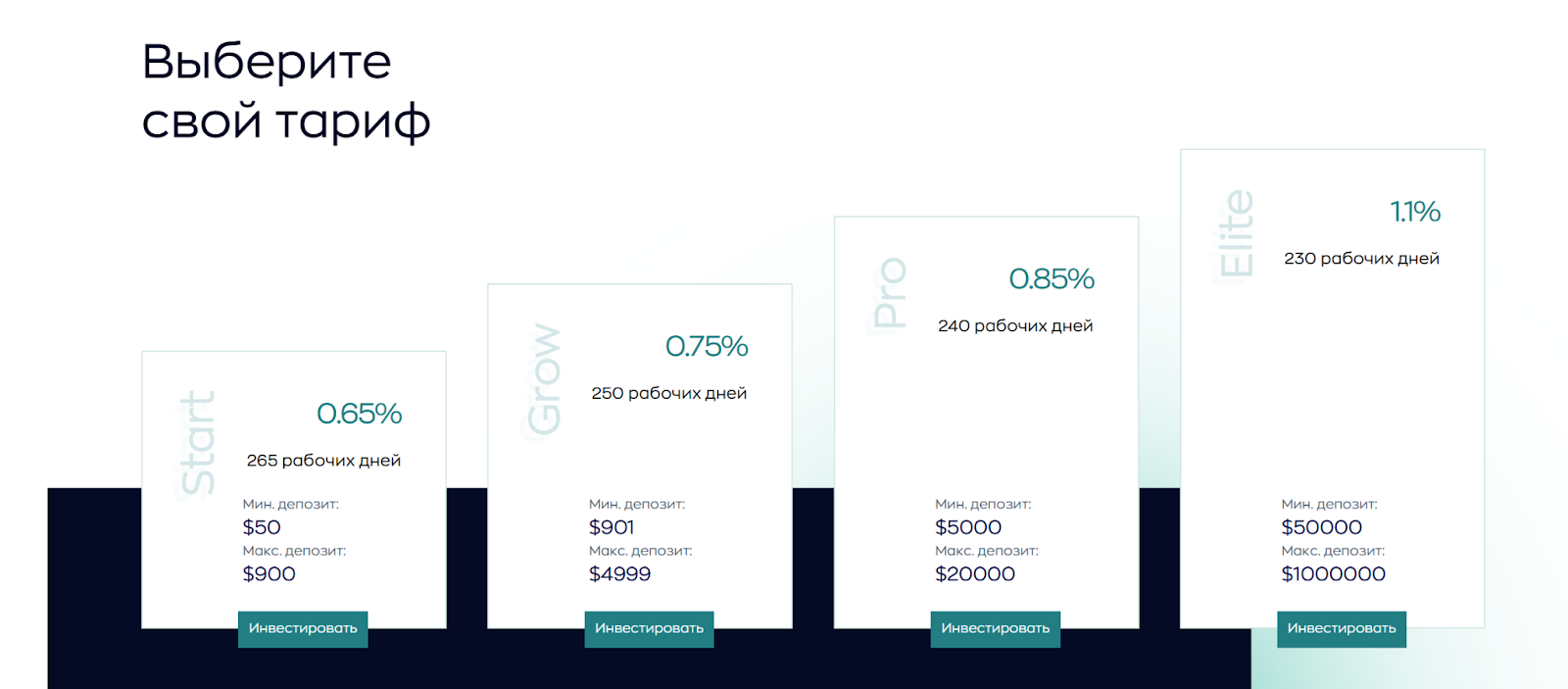 Елисеев Александр Gladas Creative Елисеев Александр Gladas Creative